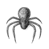 CodeSentinel